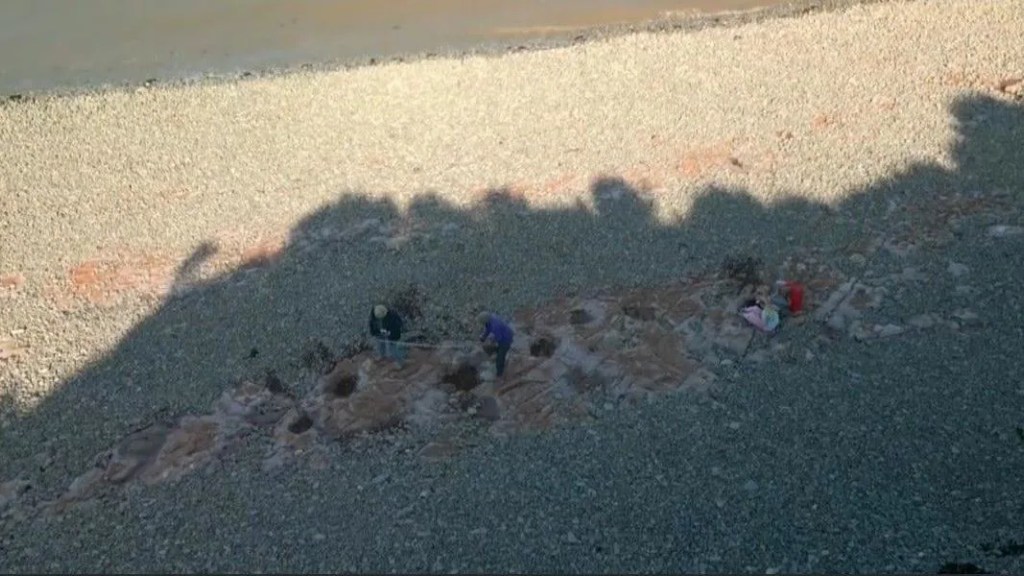 Una niña descubre huellas de dinosaurio de 200 millones de años durante un paseo por la playa