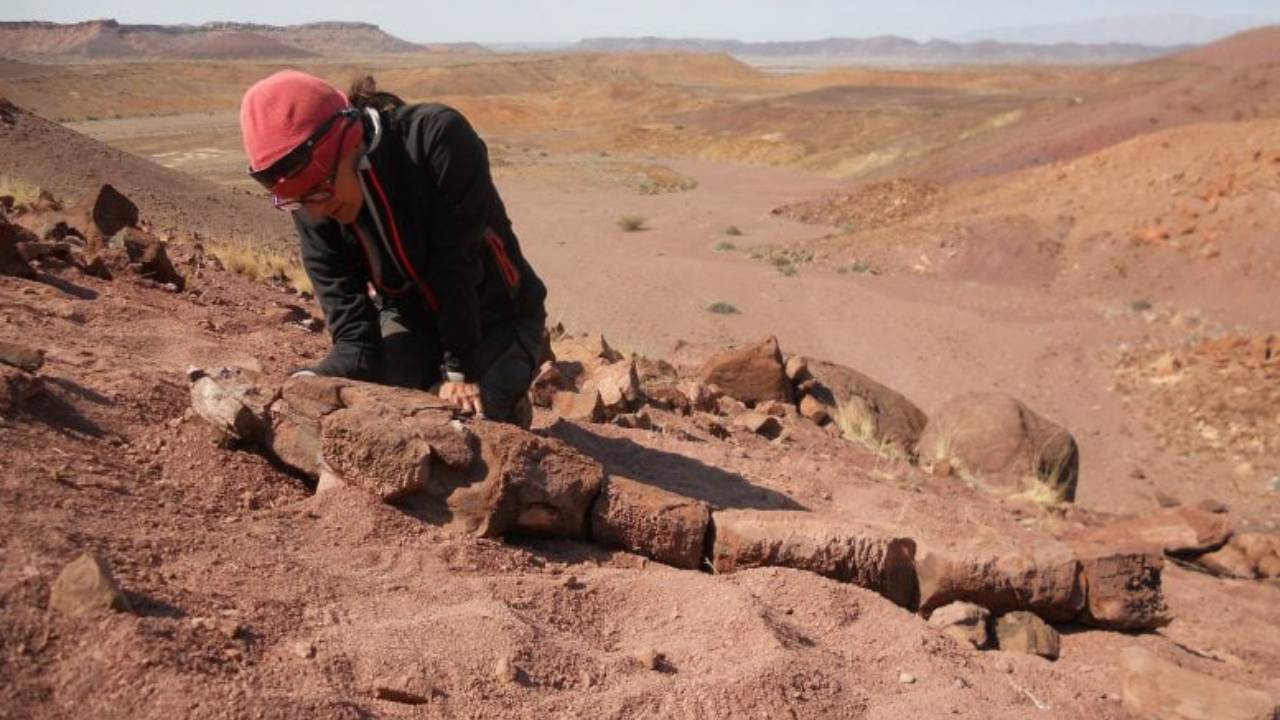 Descubren una criatura gigante de pantano que es anterior a los dinosaurios