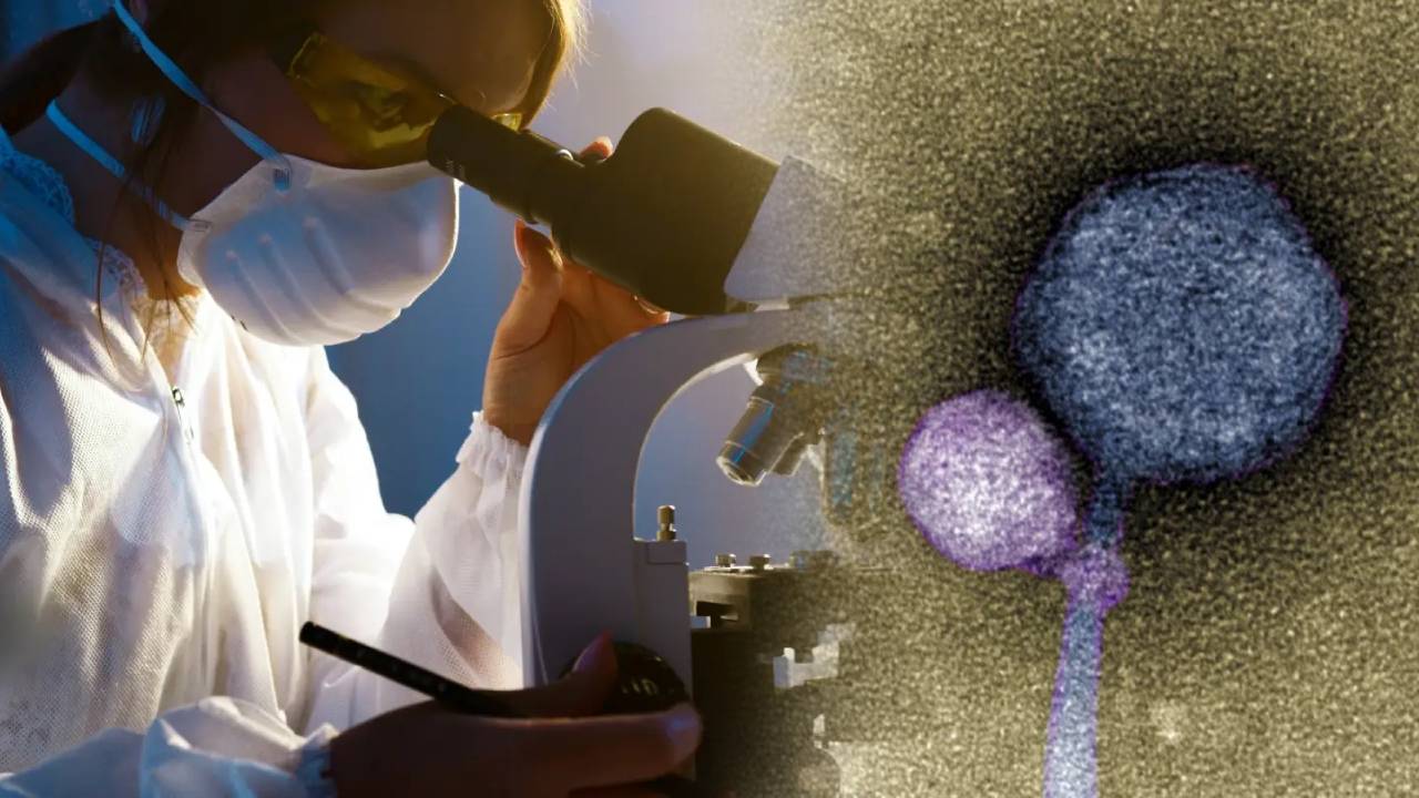 Descubren un virus vampiro en Estados Unidos