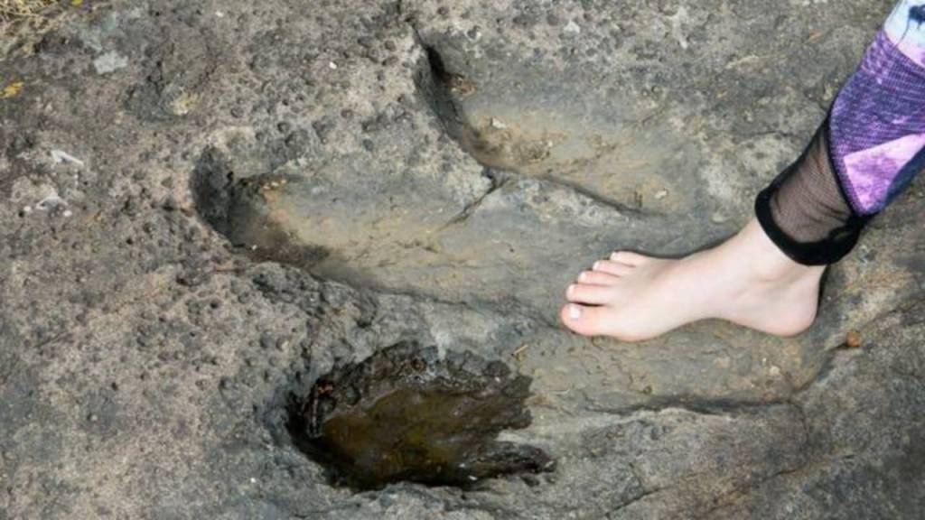 Una niña descubre huellas de dinosaurio de 200 millones de años durante un paseo por la playa