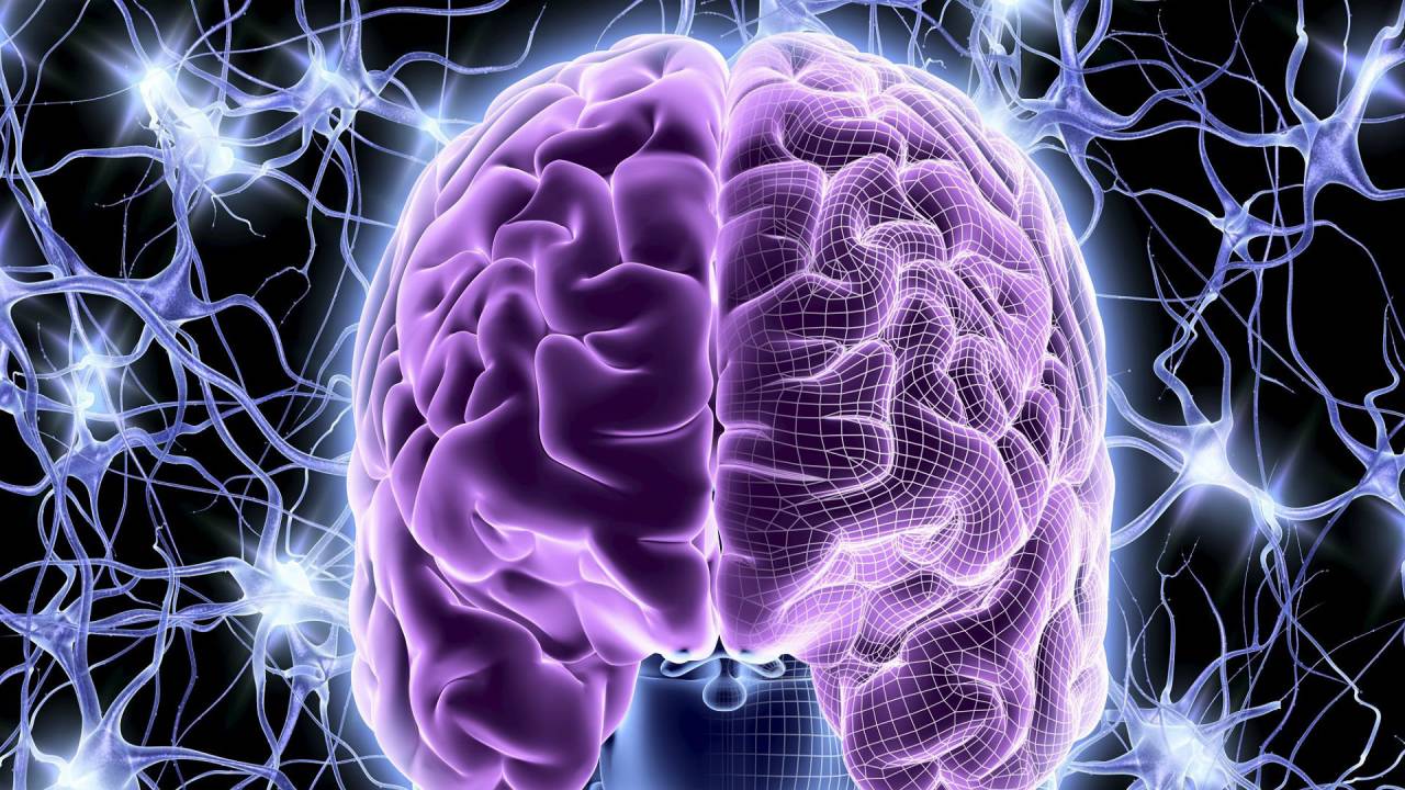 Tu cerebro podría estar mutando de una forma muy extraña y no nos habíamos dado cuenta