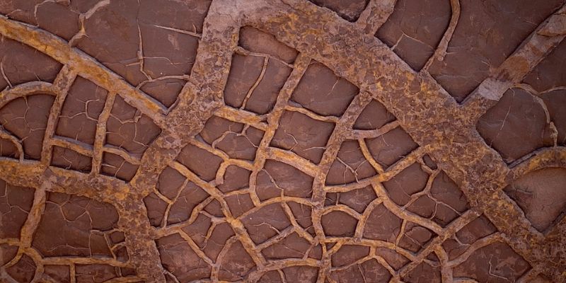 Un fenómeno masivo de El Niño habría dado inicio a la peor extinción masiva de la historia