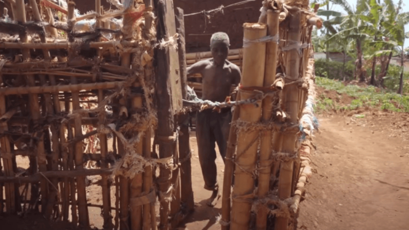 Ginefobia extrema: hombre lleva 56 años encerrado en su casa por miedo a las mujeres