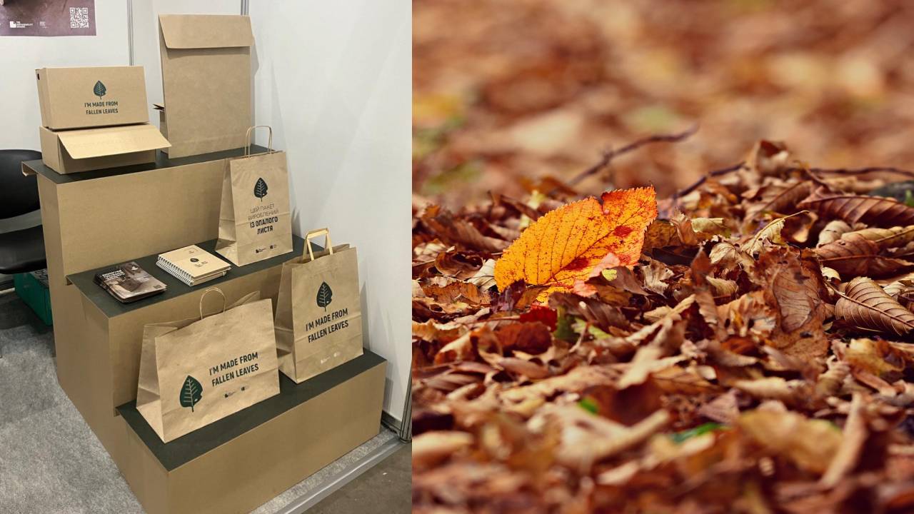 Crean papel a partir de las hojas muertas de las calles europeas