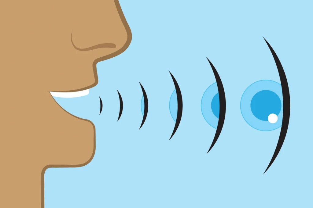 Cualquiera puede aprender ecolocalización y reestructurar su cerebro en solo 3 meses 1 Cualquiera puede aprender ecolocalización y reestructurar su cerebro en solo 3 meses
