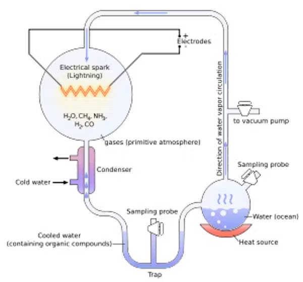 Científicos descubren que la lluvia fue crucial para el surgimiento de la vida 1 Científicos descubre que la lluvia fue crucial para el surgimiento de la vida