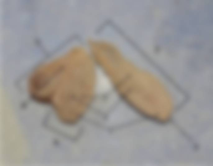 Diagrama esquemático de la tripalia interna. Esta figura es un diagrama esquemático de la sección transversal sagital de la pelvis masculina en este caso. La disposición de la tripalia se puede ver arriba. El diagrama se puede etiquetar de la siguiente manera: 1. sínfisis púbica, 2. conducto deferente, 3. epidídimo, 4. testículo, 5. piel, 6. pene terciario, 7. cuerpo cavernoso del pene terciario, 8. glande del pene terciario, 9. cuerpo esponjoso del pene secundario, 10. pene secundario, 11. cuerpo cavernoso del pene secundario, 12. glande del pene secundario, 13. vía uretral, 14. cuerpo esponjoso del pene primario (continuo con el glande), 15. cuerpo cavernoso del pene primario, 16. glande del pene primario, 17. abertura uretral, 18. pene primario y 19. tejido conectivo.