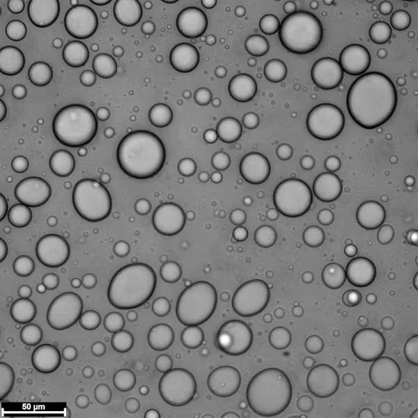Científicos descubren que la lluvia fue crucial para el surgimiento de la vida 2 Científicos descubre que la lluvia fue crucial para el surgimiento de la vida