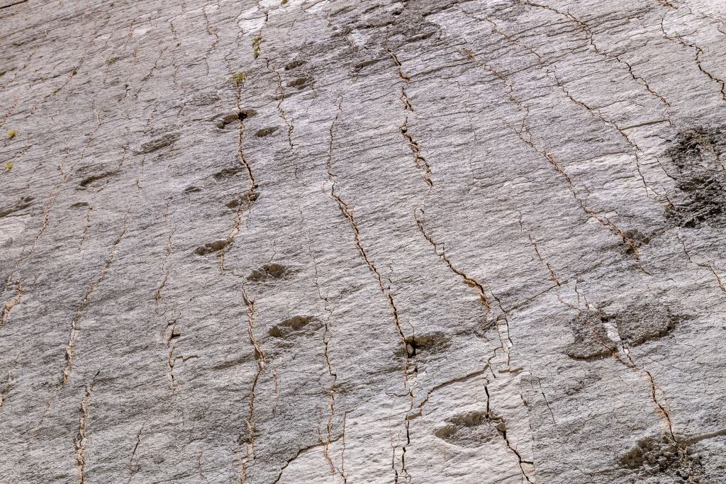 Cal'Orcko: El sitio con más huellas de dinosaurios del mundo