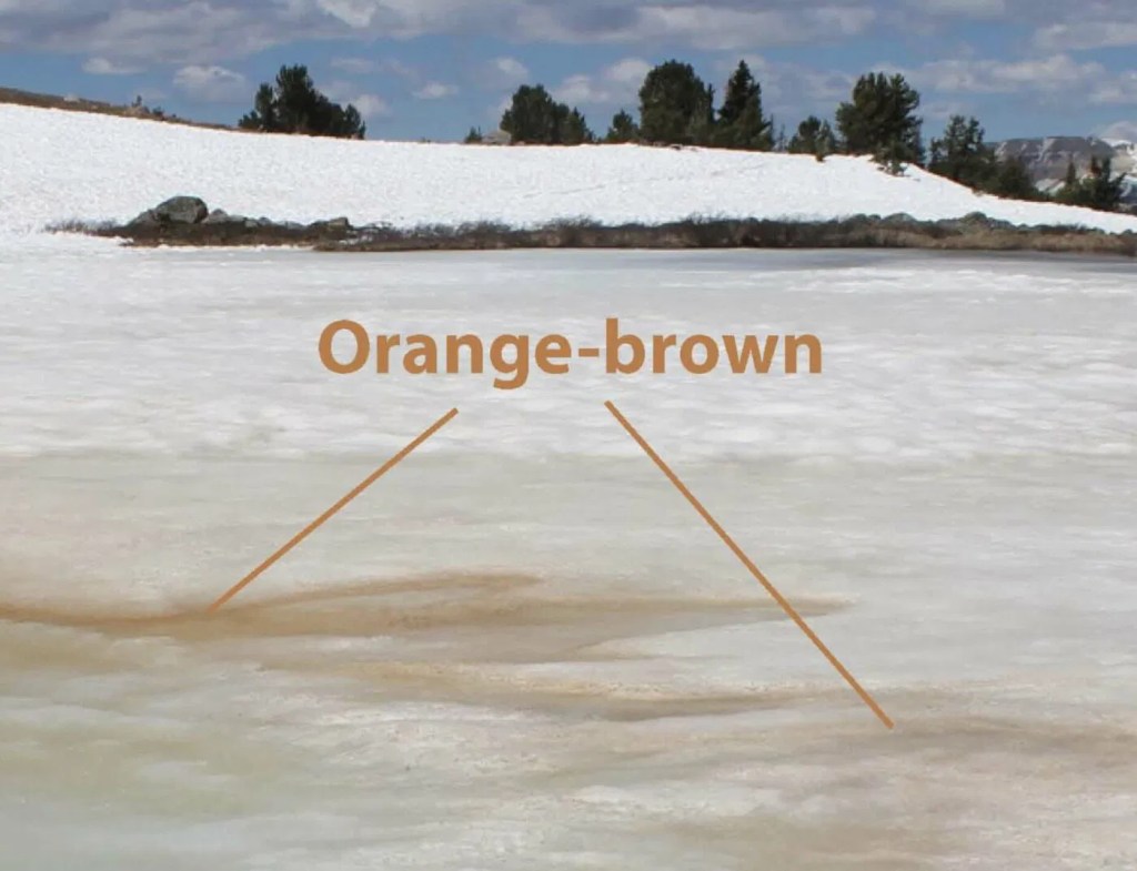 Descubrimiento escalofriante que podría revelar si existe vida en Marte