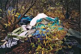 Timothy Treadwell: La historia del hombre que susurraba a los osos pardos 3 Timothy Treadwell: La historia del hombre que susurraba a los osos pardos