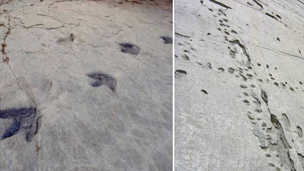 Cal'Orcko: El sitio con más huellas de dinosaurios del mundo