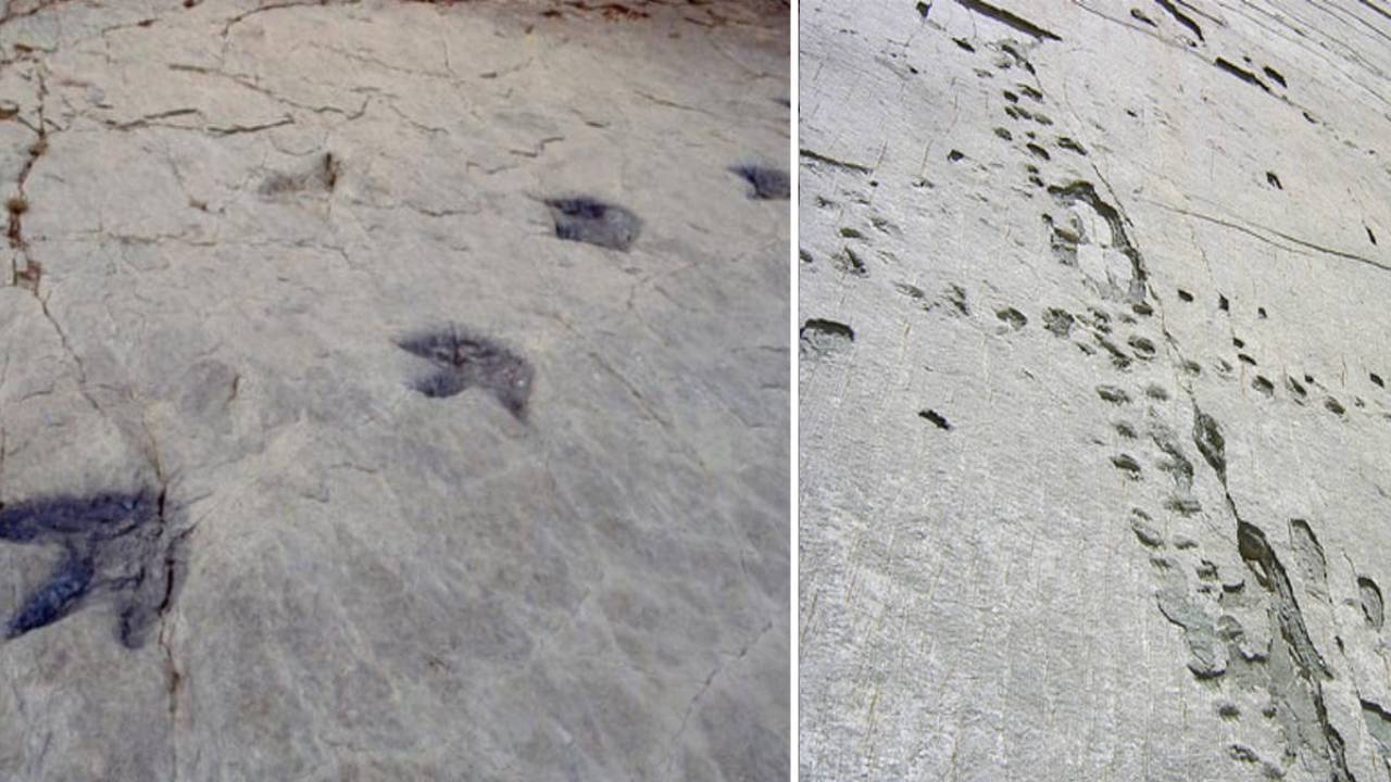 Cal'Orcko: El sitio con más huellas de dinosaurios del mundo