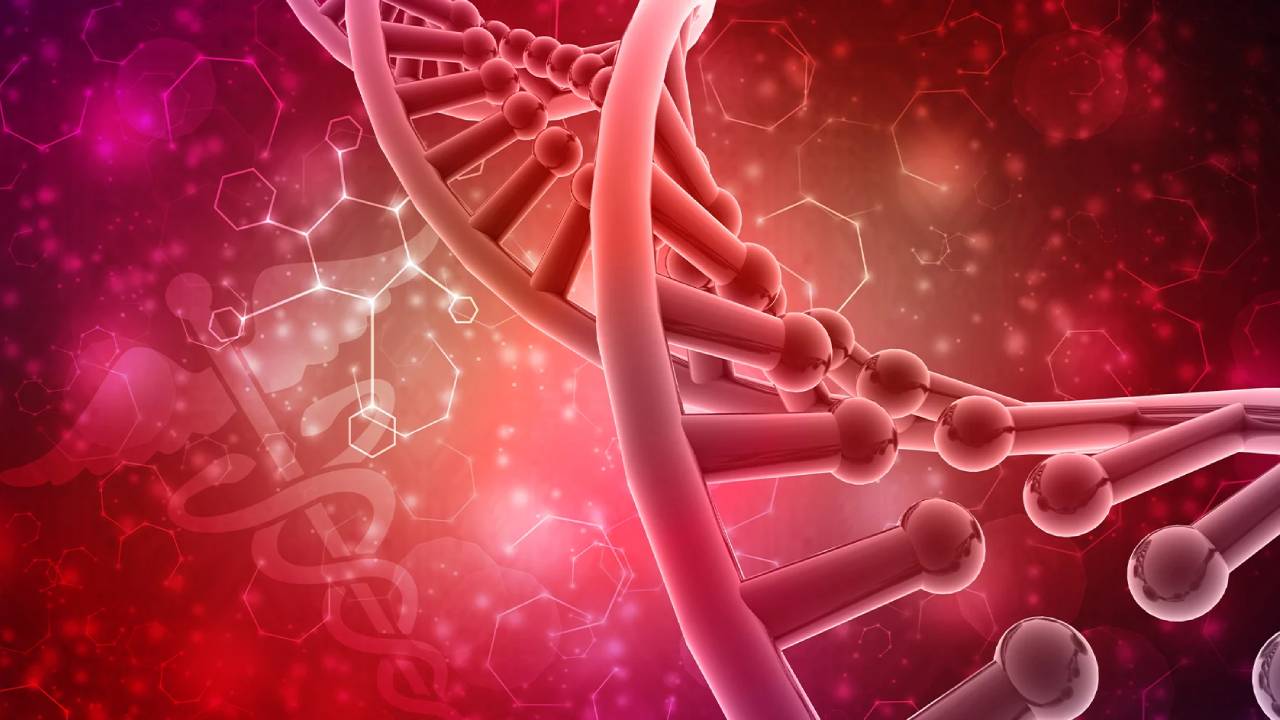 Hormona descubierta podría permitir la regeneración de extremidades amputadas