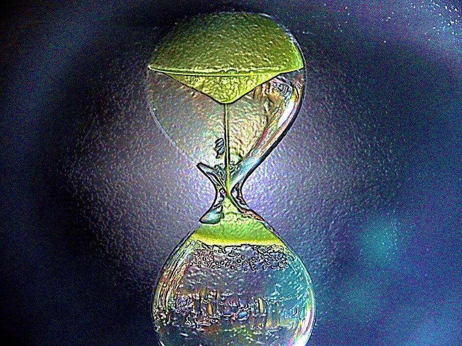 Científicos logran retroceder el tiempo en una computadora cuántica 1 Científicos logran retroceder el tiempo en una computadora cuántica