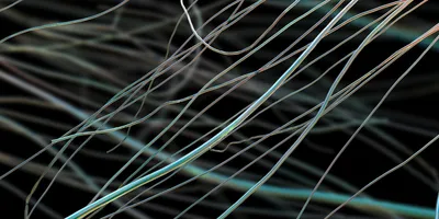 ¿Las fibras ecológicas son realmente más seguras que los plásticos? Un estudio revela una preocupante realidad