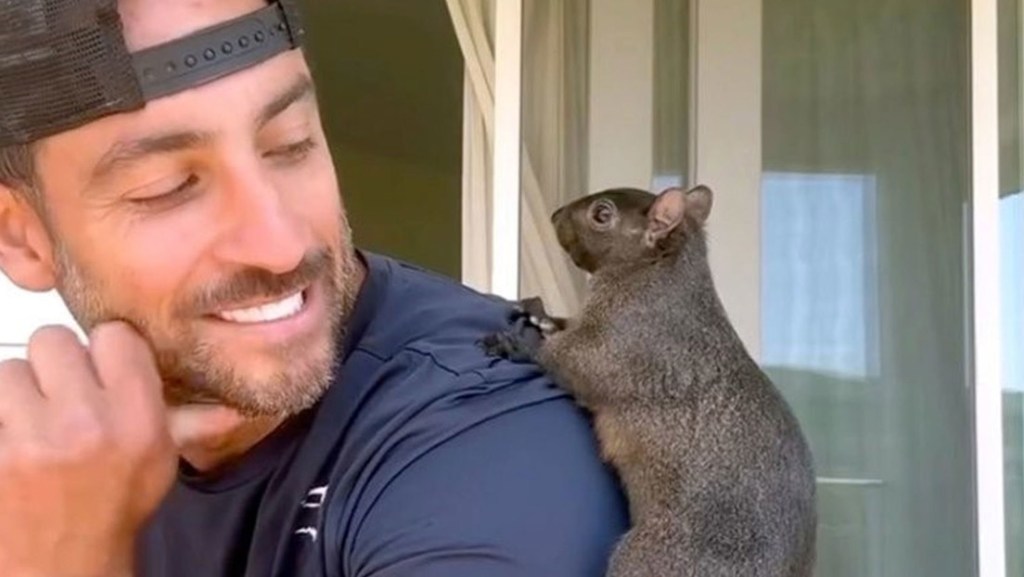 Sacrificio de Peanut, la ardilla de Instagram, indigna a todo internet y atacan a las autoridades de Nueva York