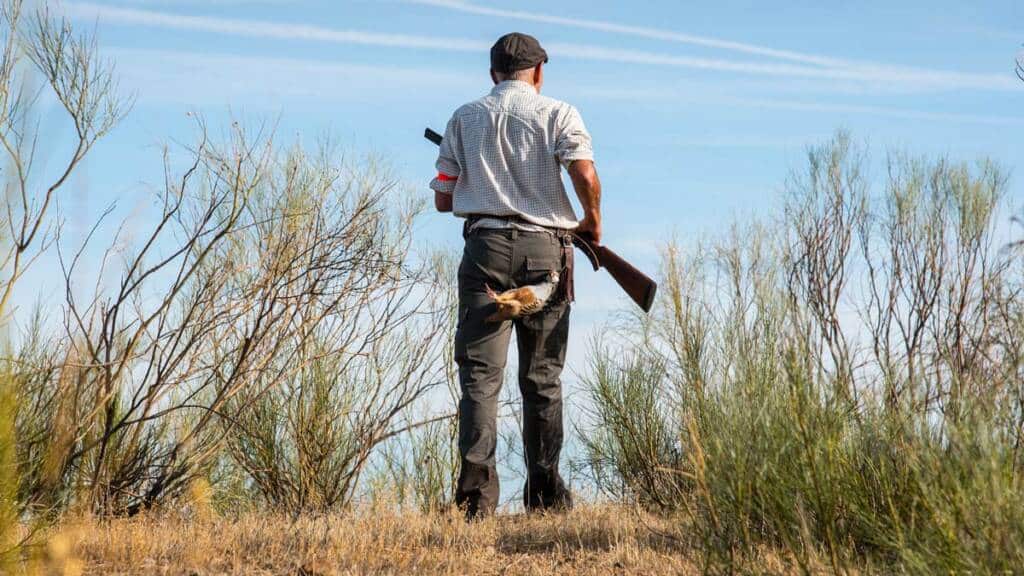 Encuentran un león gigante y un descubren algo asombroso tras hacerle una ecografía