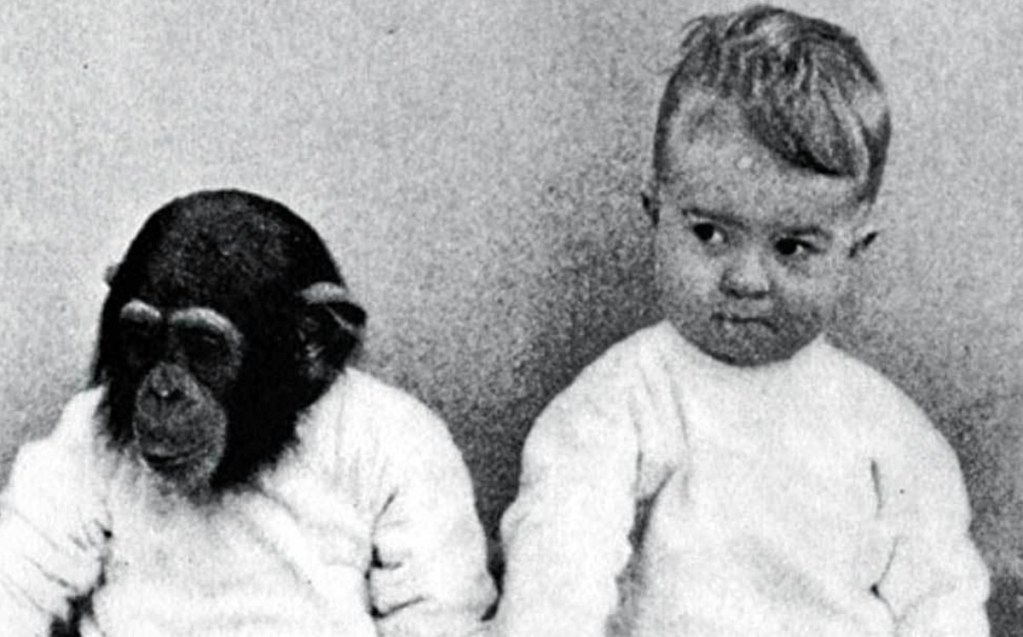 El Experimento Prohibido: Ética, historia y el inquietante límite del conocimiento