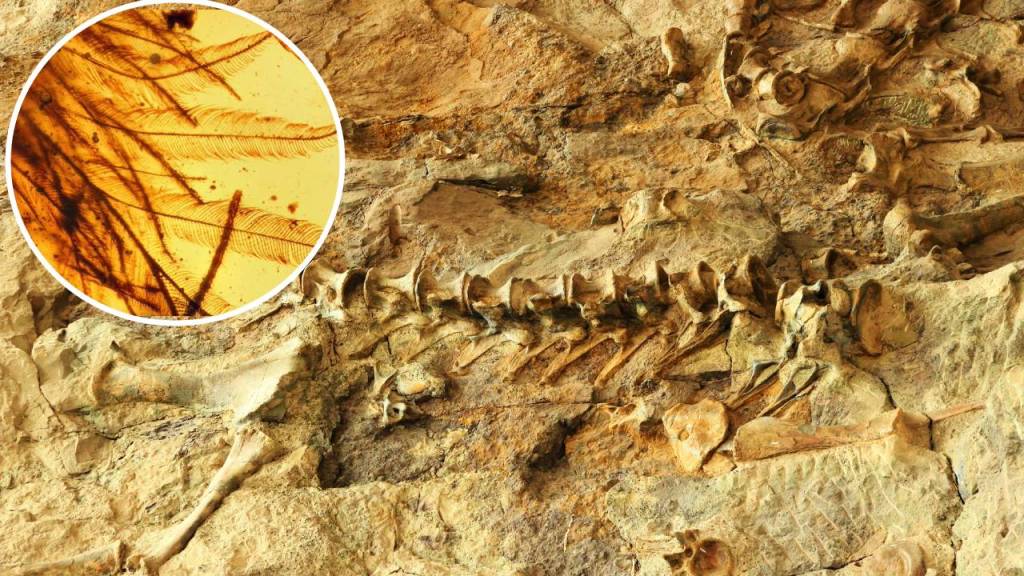 El descubrimiento de una cola de dinosaurio cambia la historia de la paleontología