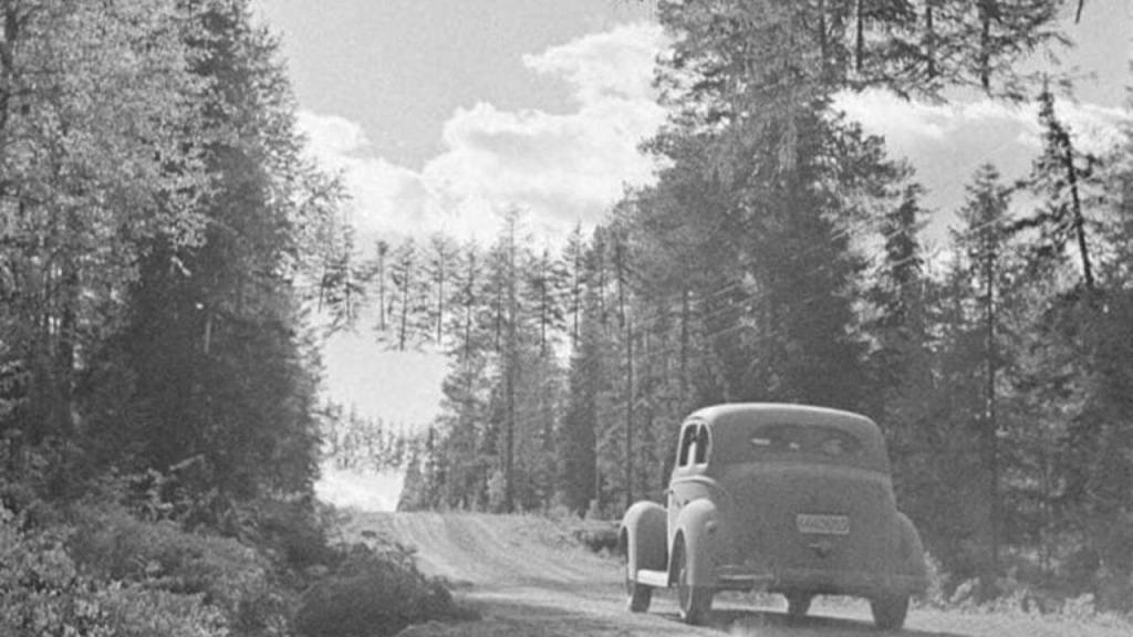 En esta foto de la WWII todo es Real, incluso los árboles flotantes