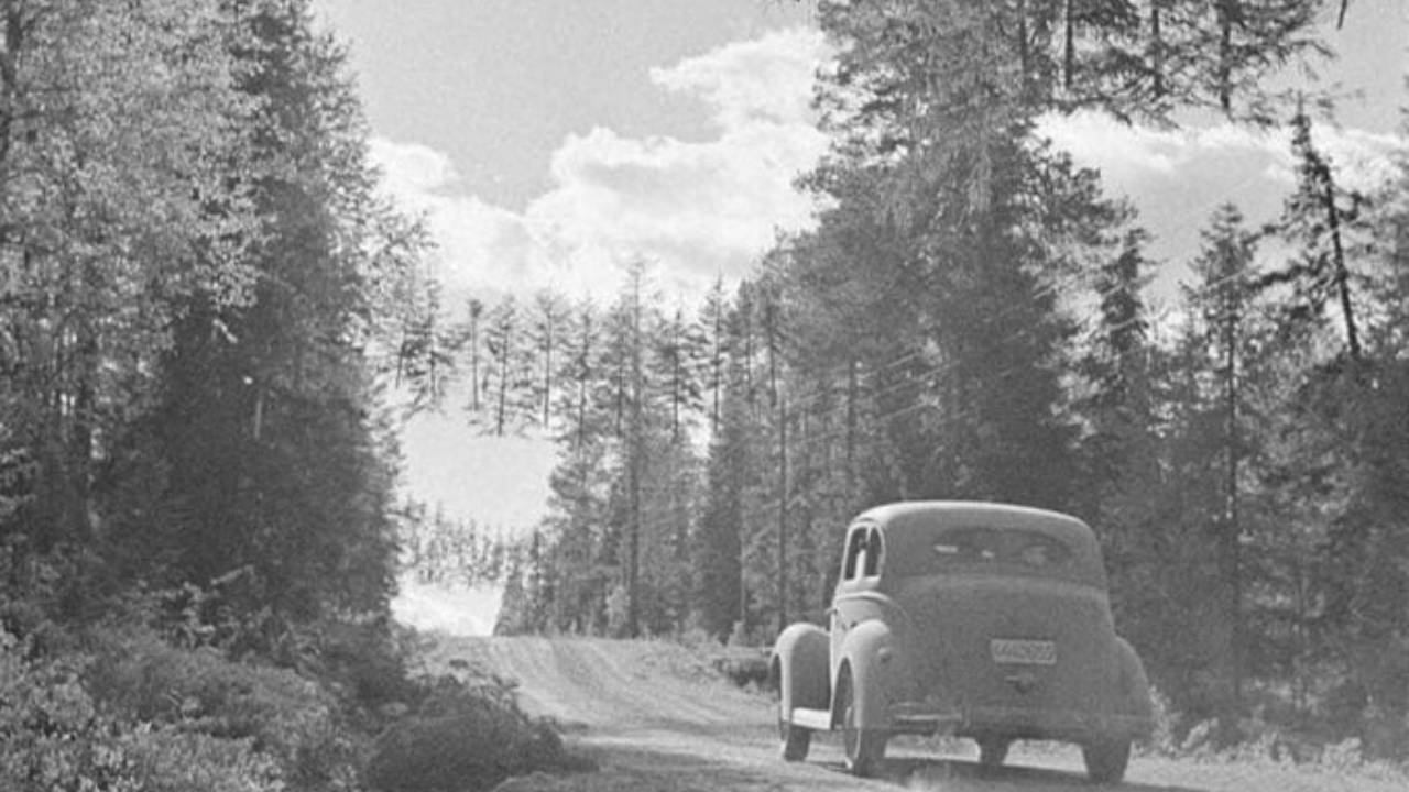 En esta foto de la WWII todo es Real, incluso los árboles flotantes