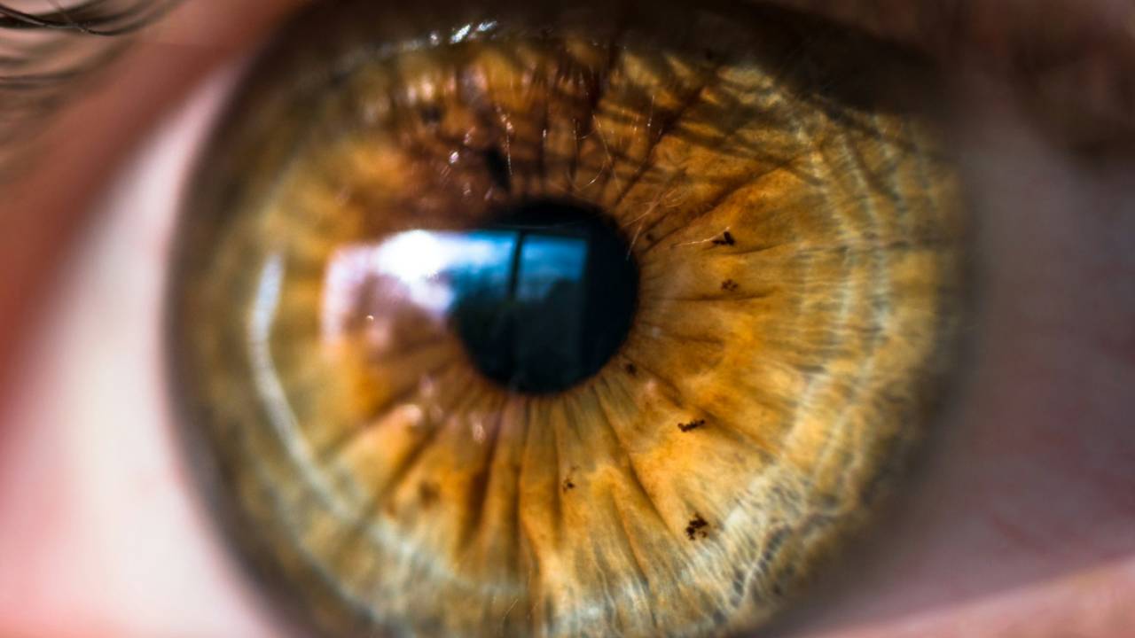 El primer tratamiento con células madre del mundo devuelve la visión a las personas