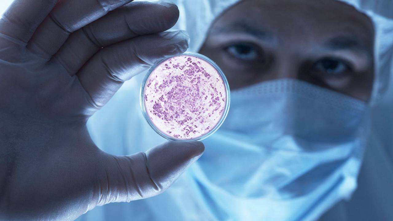 Científicos están compartiendo datos aterradores que la mayoría desconoce