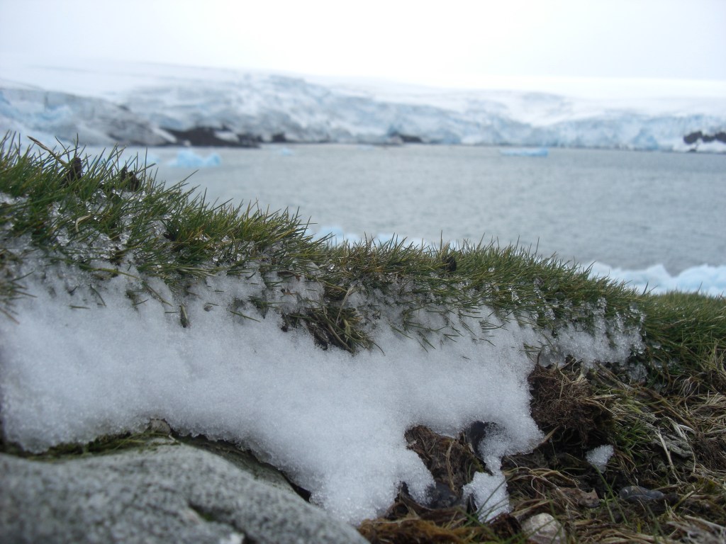 Cambios drásticos en la Antártida: Tormentas y pérdida de hielo marino sin precedentes 1 Cambios drásticos en la Antártida: Tormentas y pérdida de hielo marino sin precedentes