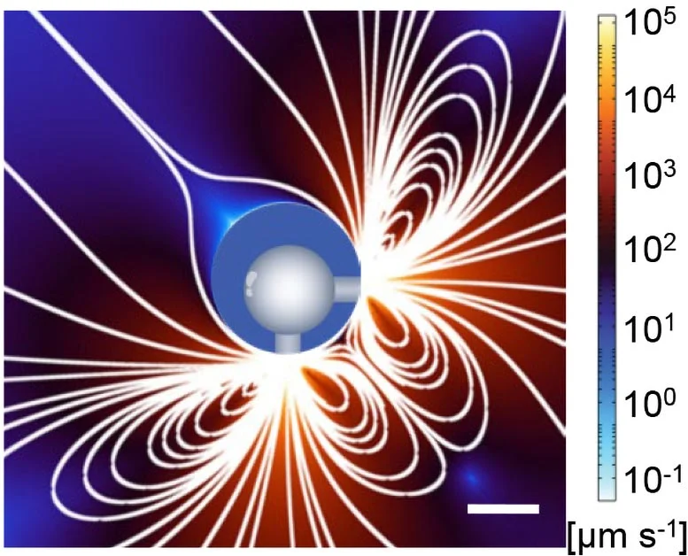 Desarrollan microrobots que reducen tumores en nuevo estudio