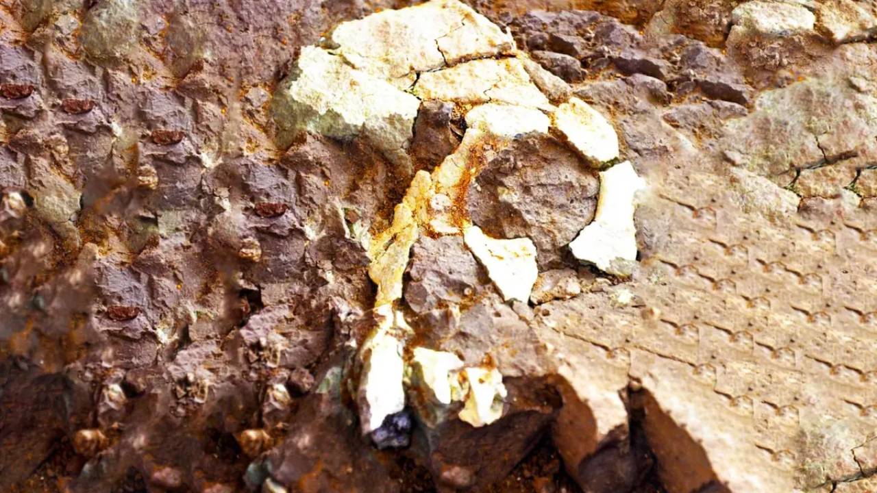 Descubren fósil que sugiere que los humanos se originaron en Europa y no en África