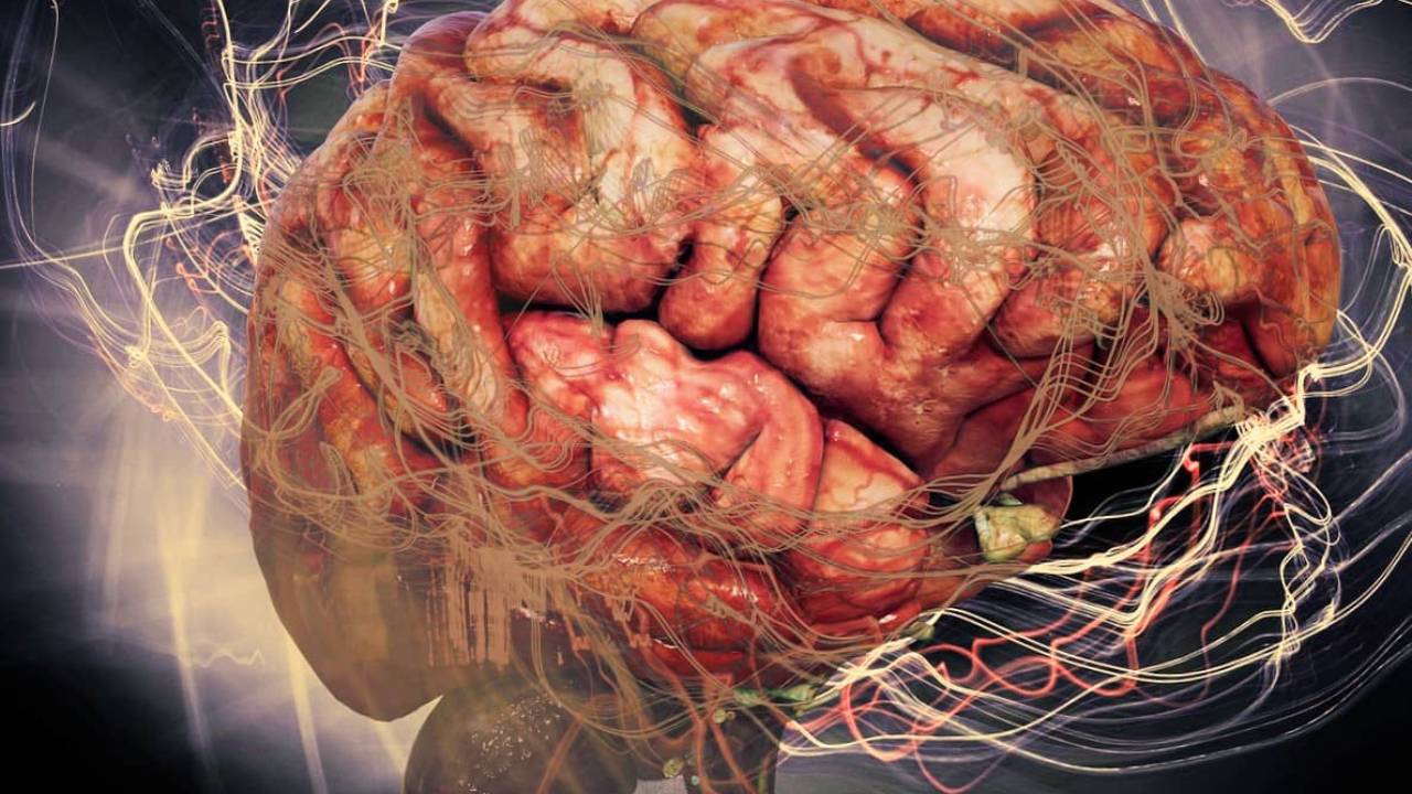 El cerebro humano tiene un procesamiento de solo 10 bits por segundo, según estudio de Caltech