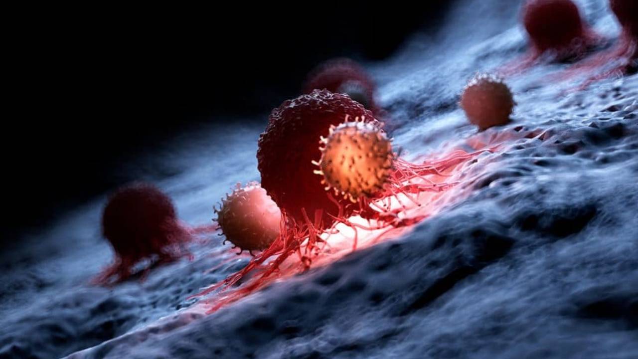 Convierten células cancerosas en células normales con una innovadora tecnología