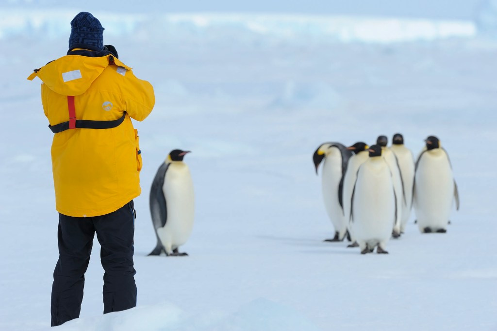 La Antártida busca empleados: Sueldo alto, vivienda gratis y una experiencia única 1 La Antártida busca empleados: Sueldo alto, vivienda gratis y una experiencia única