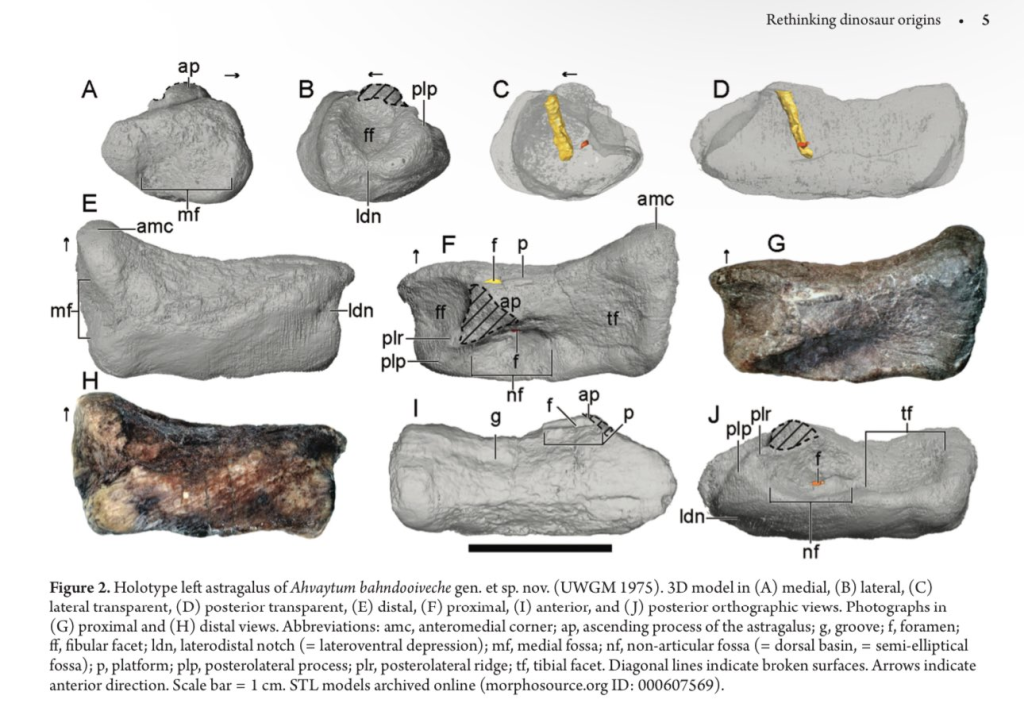 Descubren un dinosaurio completamente nuevo y resulta ser el más antiguo del hemisferio norte