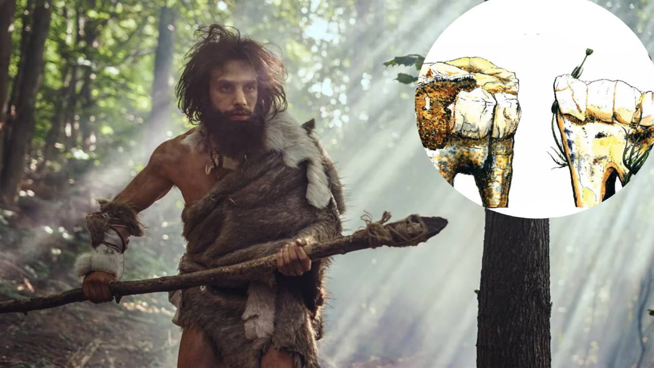 Descubren un antepasado humano que era vegetariano