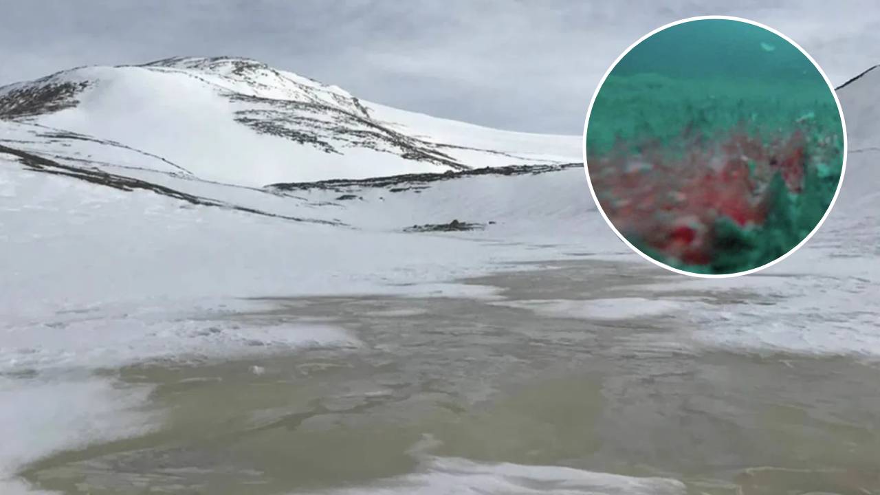 El misterio del lago helado en la Antártida: ¿Qué se esconde a 14 metros bajo el hielo?