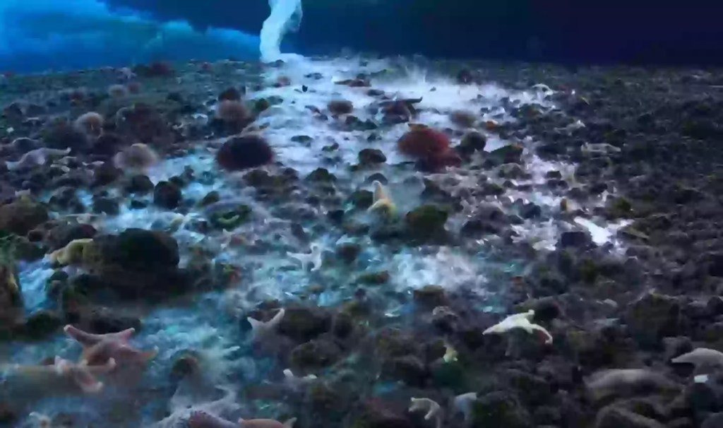 El dedo de la muerte: El fenómeno letal que congela la vida marina 2 El dedo de la muerte: El fenómeno letal que congela la vida marina