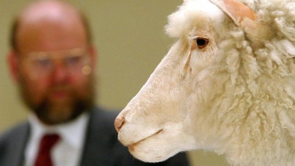 Clonación humana: ¿Qué tan cerca estamos? 2 ¿Qué tan cerca estamos de la clonación humana?