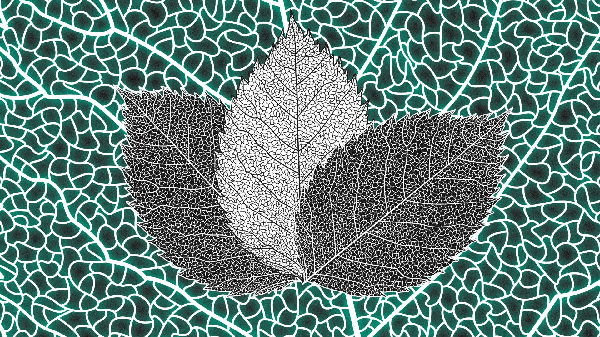 Hojas artificiales que convierten CO2 en combustible y químicos importantes