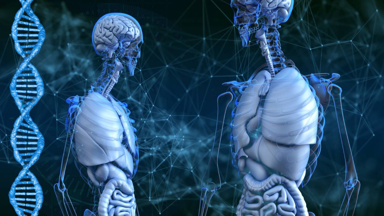 ¿Qué tan cerca estamos de la clonación humana?