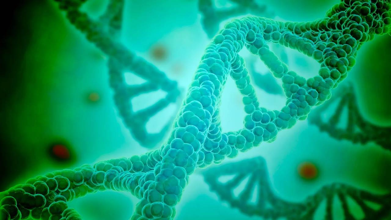 Los científicos podrían haber encontrado rastros de un código genético extinto que existía antes del ADN