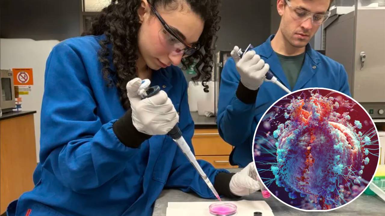 EBC-46 muestra un enorme potencial para erradicar el VIH