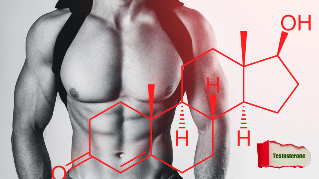 testosterona