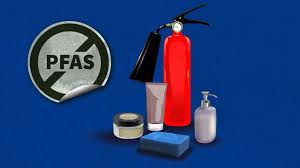 Labrys portucalensis F11: bacteria que devora "químicos eternos" y abre la puerta a la descontaminación 3 bacteria - bacteria