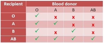 sangre - sangre