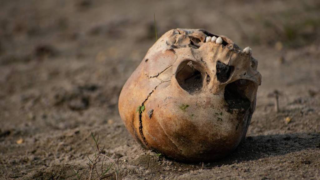 La humanidad estuvo cerca de la extinción hace 900.000 años